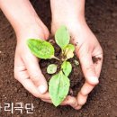 노루숲 Daum카페