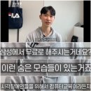 시각 안내견 한마리 육성하는데 드는 비용이 얼마일 것 같아요? (feat. 대기업) 이미지