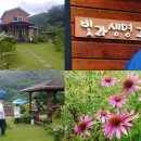 입석2리 이미지