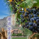 낭만차이나 - 용인시 기흥구 언동로 186 | 낭만차이나