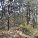 대남환경 이미지