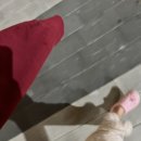 매머드익스프레스포레나