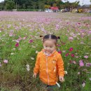 줄포2주유소 이미지