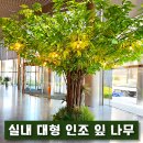 대형복사 이미지