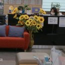 새순산부인과여성의원 네이버블로그