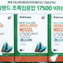 초록비타민 이미지