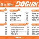 도그렉스 이미지