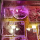 소담축산 이미지