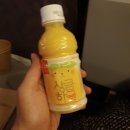 호근목장 | 제주도 2박 3일 우정 여행 후기 (일정 / 맛집, 카페 / 여행 경비)