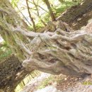 내곡3리 이미지