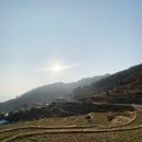 내야내야 똥강아지 이미지