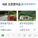 꽃뜨락민박 이미지