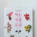 "이 식물도 먹을 수 있다고? 온 가족이 함께 보면 더 재미있는 『먹는식물도감』 서평 후기"