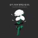 디딤동물병원 | 달맑음의 2024년 결산 ( ft. 진심으로 나를 사랑하기 시작한 해) (스압)