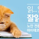 에브리원안경 이미지