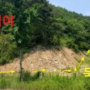 하이마로 이미지