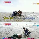 갯벌낙지 이미지