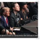 SK마이크로웍스 솔루션즈 노동조합 | 2024년 12월 2일(월) 주식방송리뷰(미국시장마감시황, 자율주행관련주, 해저케이블관련주, 위생용품...