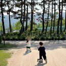 한강시민공원(가족캠핑장 초입) | 구리한강시민공원 가족힐링캠핑장 텐트가능위치 주차 배달팁