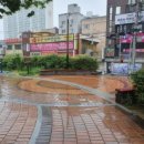 장전동 까치공원 이미지