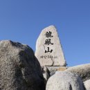 우리동네여행사