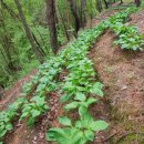 종근농장 이미지