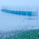 고흥나루터 이미지