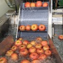 삼성농원 이미지