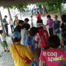 양지초등학교 이미지