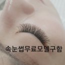 H6868 네이버블로그