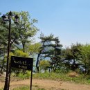 더대청호 이미지