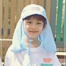 도이 이미지