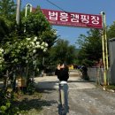 무릉도원면-38 이미지