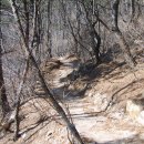 추원모차골 이미지