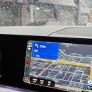 퍼니멍멍 이미지