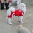 봉구