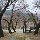 덕치초등학교 이미지