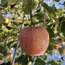 곡성-150 이미지