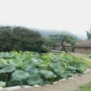 우리들민박 이미지