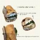 강동-천호-378 | [천호역/강동구청역] 인캐슬베이커리(incastle bakery) | 저당잼, 닭가슴살햄을 사용하는 건강한 식사빵...