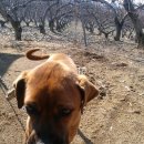 든든농장 이미지