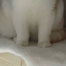 7390 | [26年 3月 上] 삐빅 체력이 부족합니다