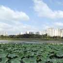 다목적게이트볼장화장실 이미지