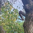 봉림농장 이미지