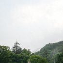 태안사계곡 이미지