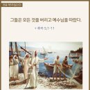 그라시아 이미지