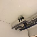 파라소프트 이미지