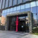 7429 | 강남 맛집 삼성역 솔트랑 티본 스테이크 후기, 주차 정보