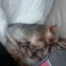 ID.16223 서울강서우체국 | 210426-210502