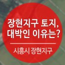 장현지구 이미지